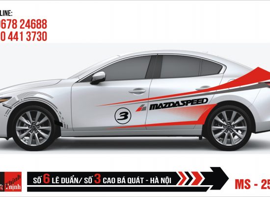 Tem Xe ô tô 4 chỗ – 253