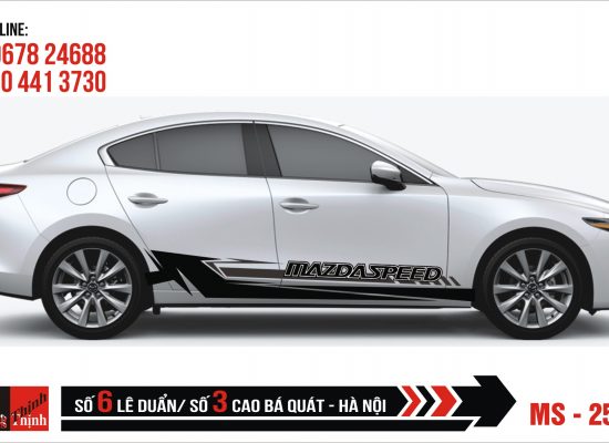 Tem Xe ô tô 4 chỗ – 255